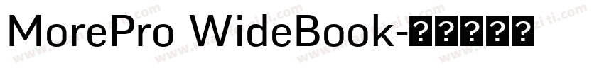 MorePro WideBook字体转换
